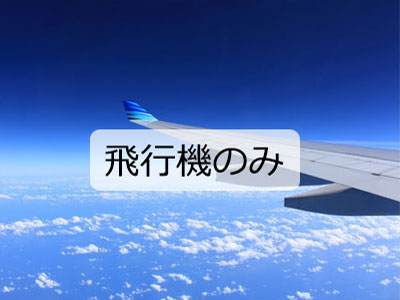 飛行機のみ